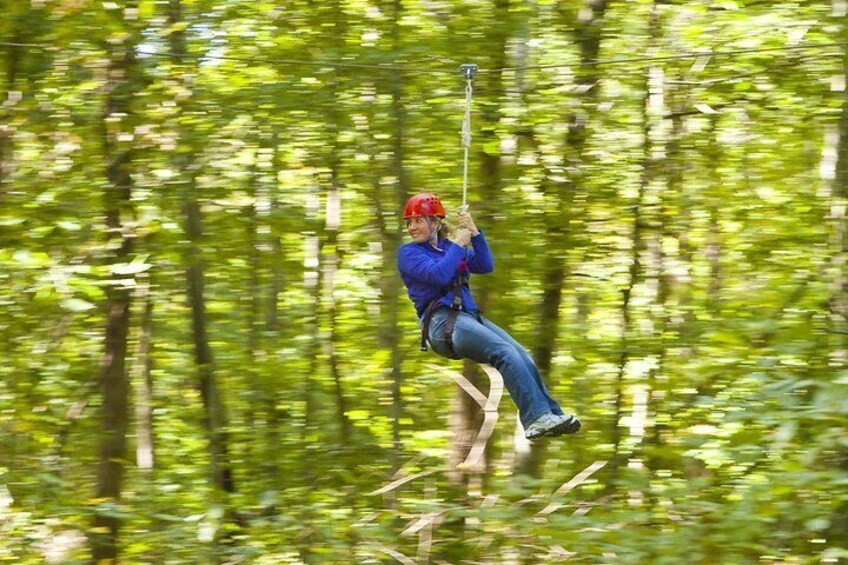 Wetland Zip Tour