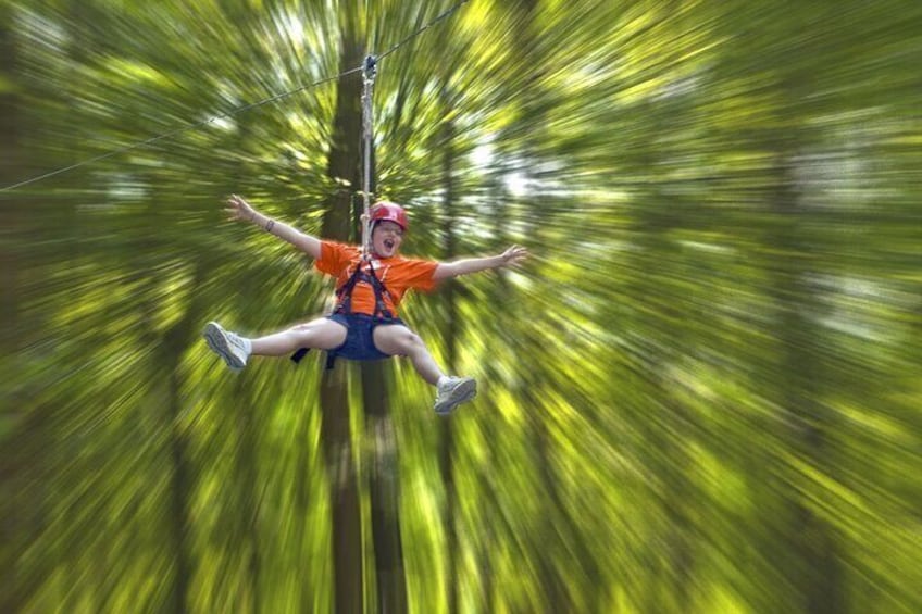 Wetland Zip Tour