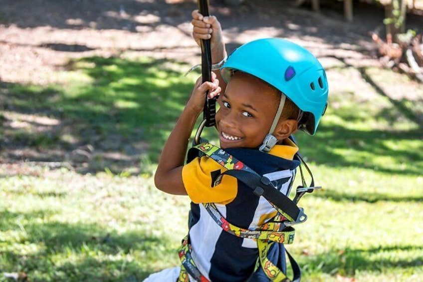 Wetland Zip Tour