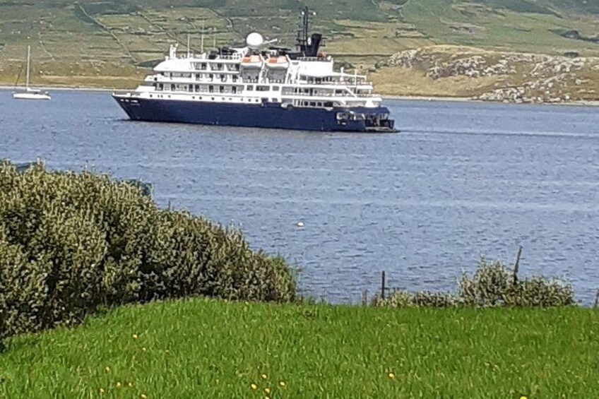 A large cruise ship on a calm body of water with a grassy shoreline and hills in the background. 5
