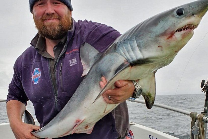 A person holding a large shark on a boat. 4