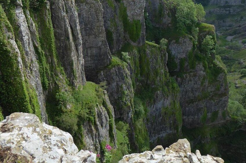 Une falaise escarpée, parsemée de végétation verdoyante, avec un sol rocheux au premier plan. 4