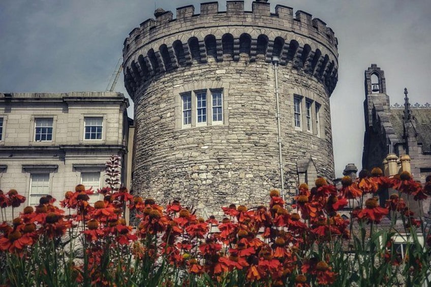 Dublin Book of Kells, Castle and Molly Malone Statue Guided Tour 2