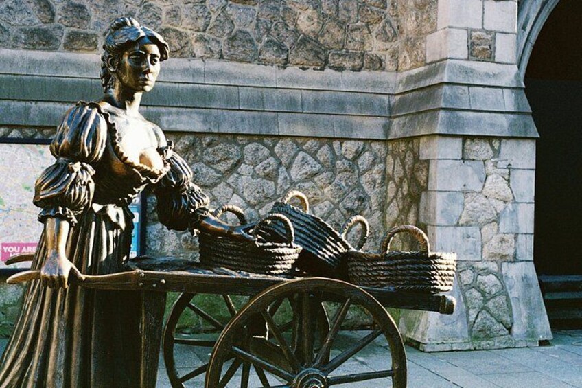 Dublin Book of Kells, Castle and Molly Malone Statue Guided Tour 2
