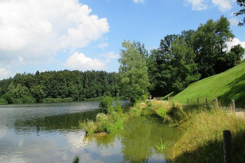 Een rustig meer, omgeven door weelderige groene planten en een grasheuvel. 4