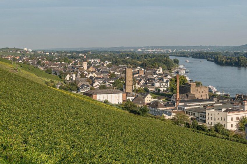 Excursion from Frankfurt to Rüdesheim - Half day 5