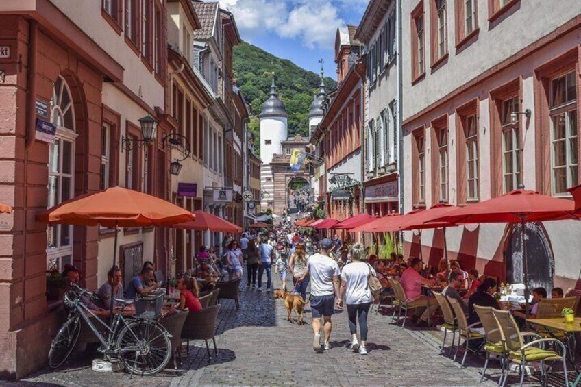 Frankfurt: Private Heidelberg Day Trip – Old Town & Castle 3