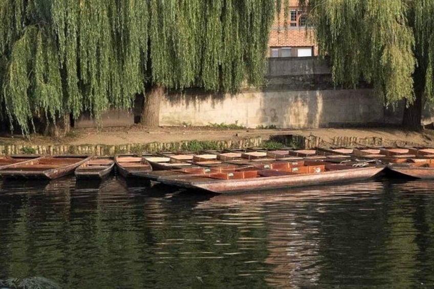 Private Cambridge Punting Tour 2