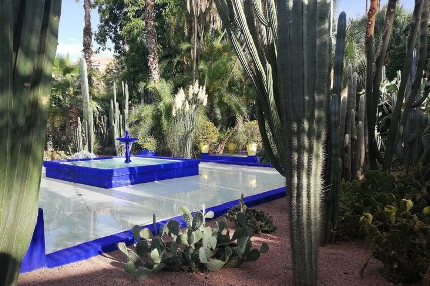 Jardin Yve Saint Laurent 2