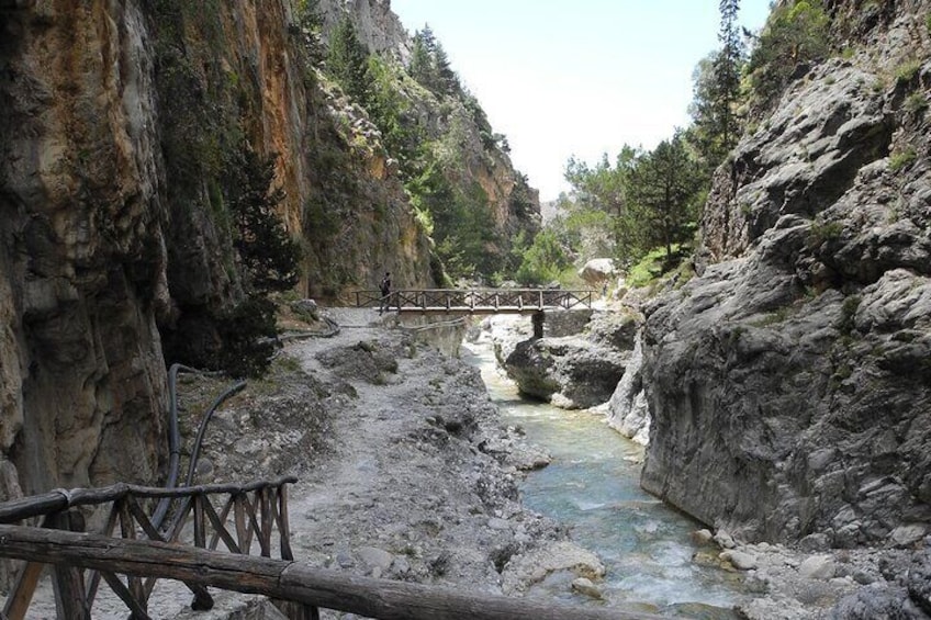 A rocky canyon with a narrow stream, wooden bridge, and dense vegetation. 3