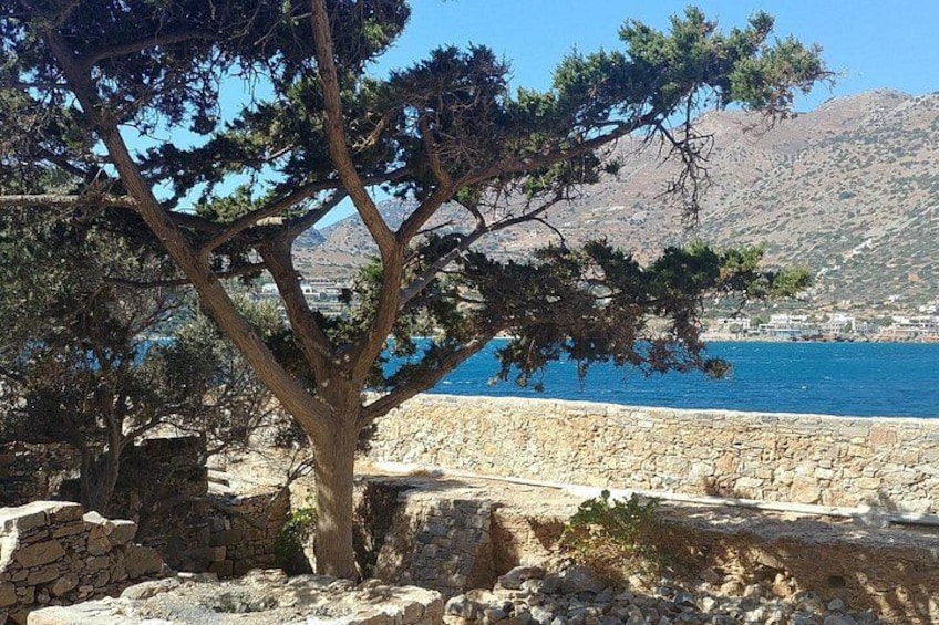 Day Trip to Agios Nikolaos and Spinalonga Island 5