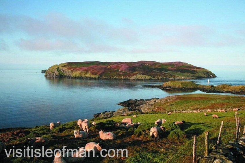 South to the Calf of Man 2