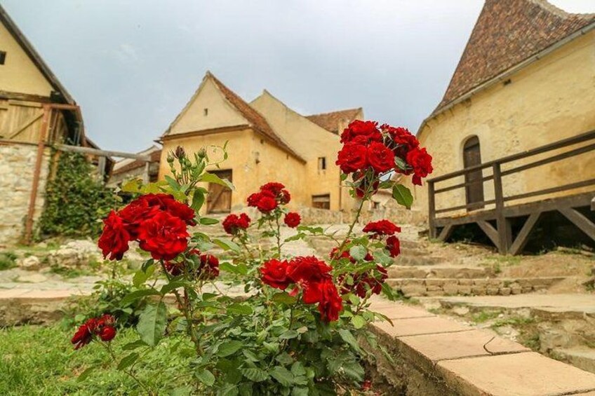 Rasnov Fortress 4