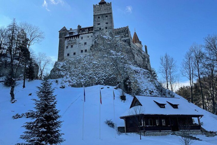 From Brasov: Bran Castle & Rasnov Small-Group Tour 5