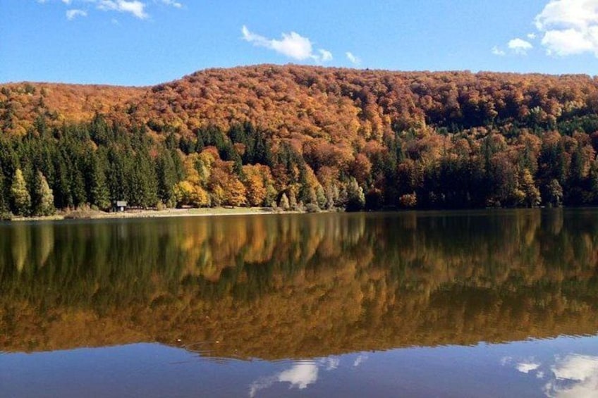 Un lago tranquilo que refleja árboles con follaje otoñal, un cielo despejado y una colina distante. 1
