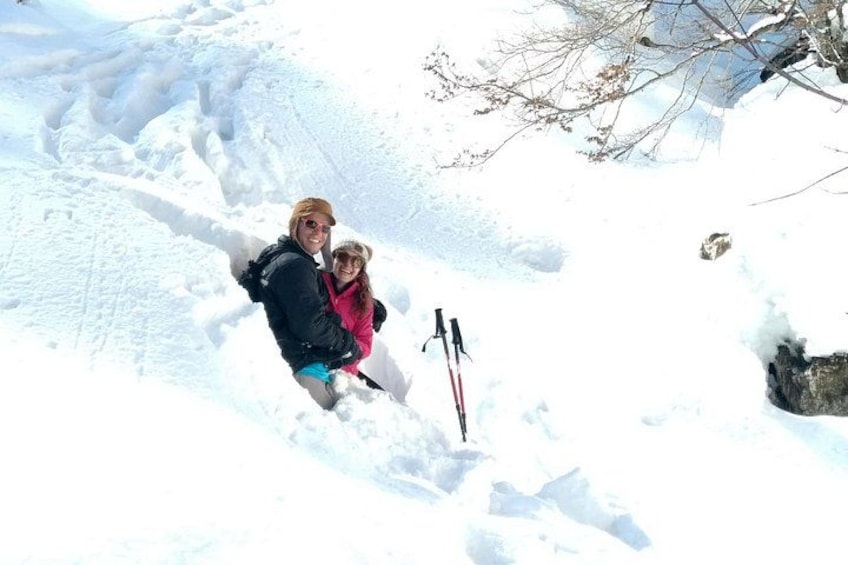 Piatra Craiului National Park Private Hiking Tour from Brasov 4