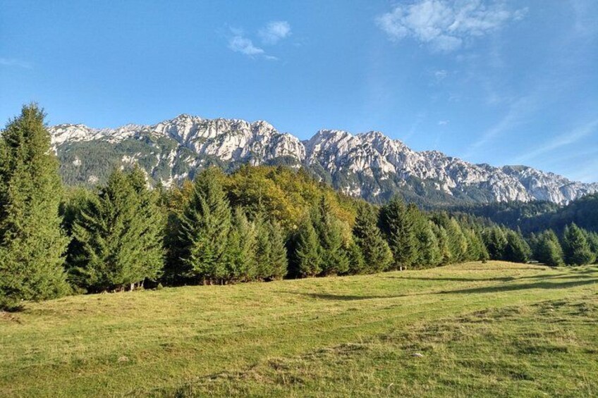 Piatra Craiului National Park Private Hiking Tour from Brasov 2