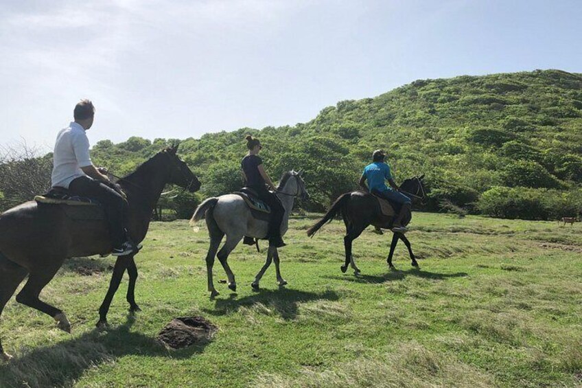 Three people riding horses on a grassy field with a hill in the background. 5