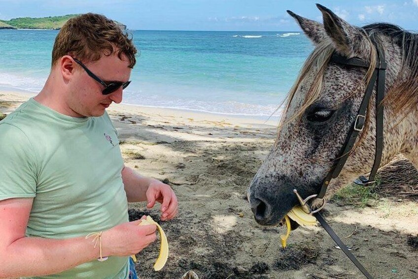 A person feeding a horse on a beach with the ocean in the background. 4