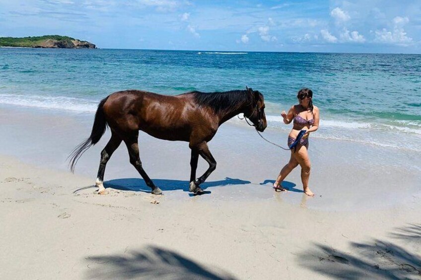 Una persona guiando un caballo en la playa, con el océano y una isla distante al fondo. 4