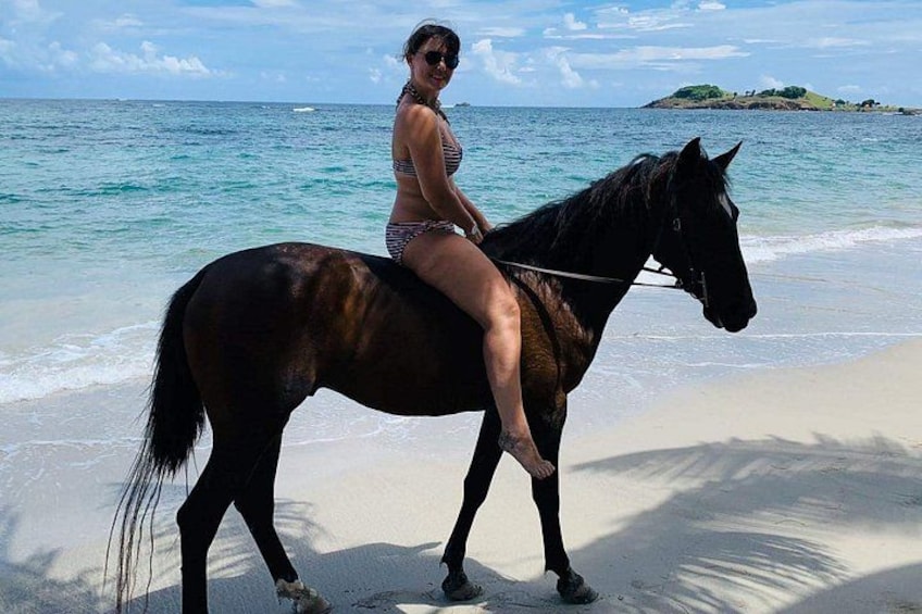 A person riding a horse on a beach with the ocean and a small island in the background. 2