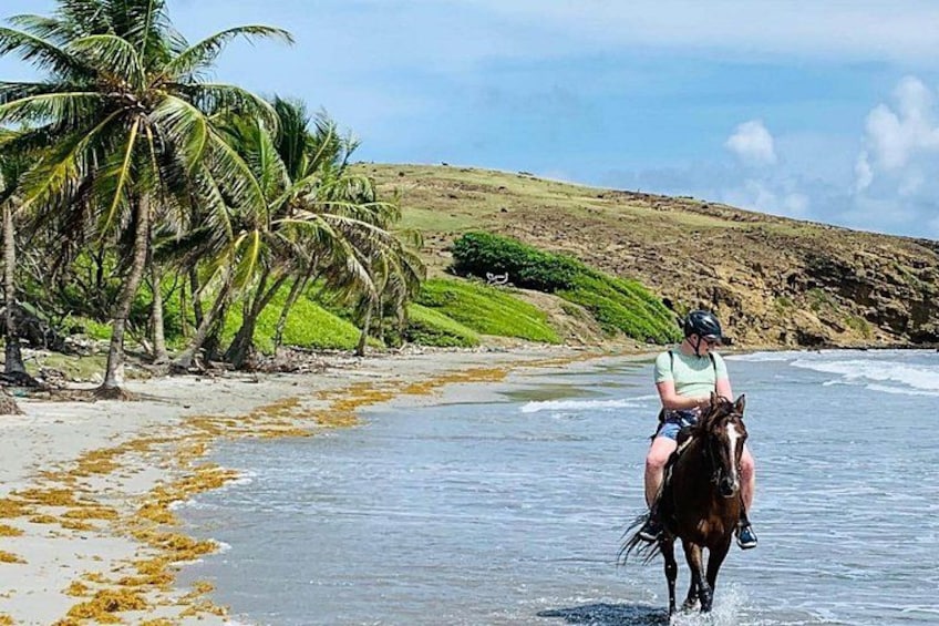 Horseback riding along the shoreline. 2