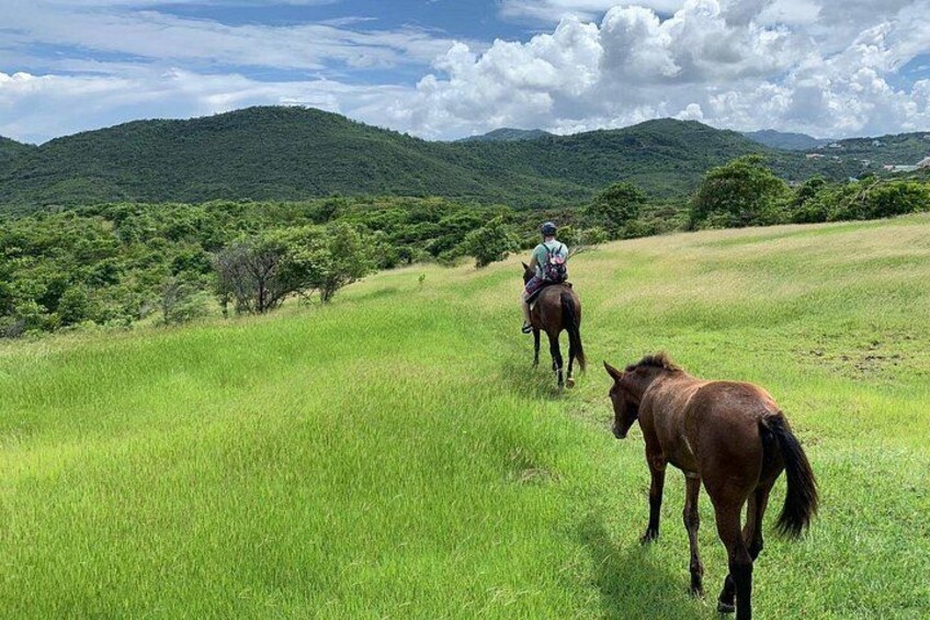 A person riding a horse in a grassy field with hills in the background. 2