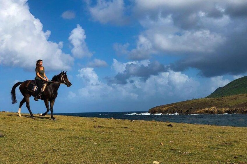 Una persona montando a caballo en un campo cubierto de hierba cerca de una masa de agua, con un paisaje montañoso al fondo. 5