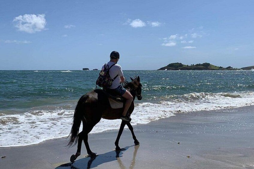 Horseback riding along the shoreline. 2