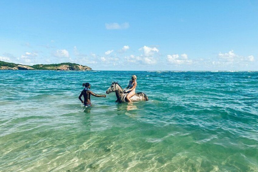 A person riding a horse in shallow water near a coastline. 3
