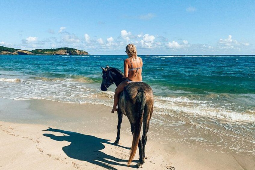 Une personne à cheval sur une plage, avec l’océan en arrière-plan. 3