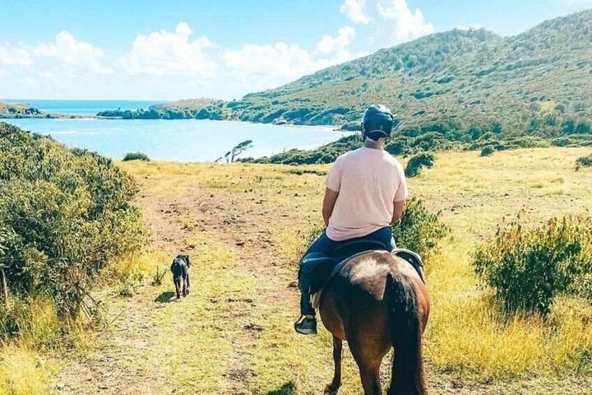 A person riding a horse along a dirt path with a dog, overlooking a body of water and hills. 2