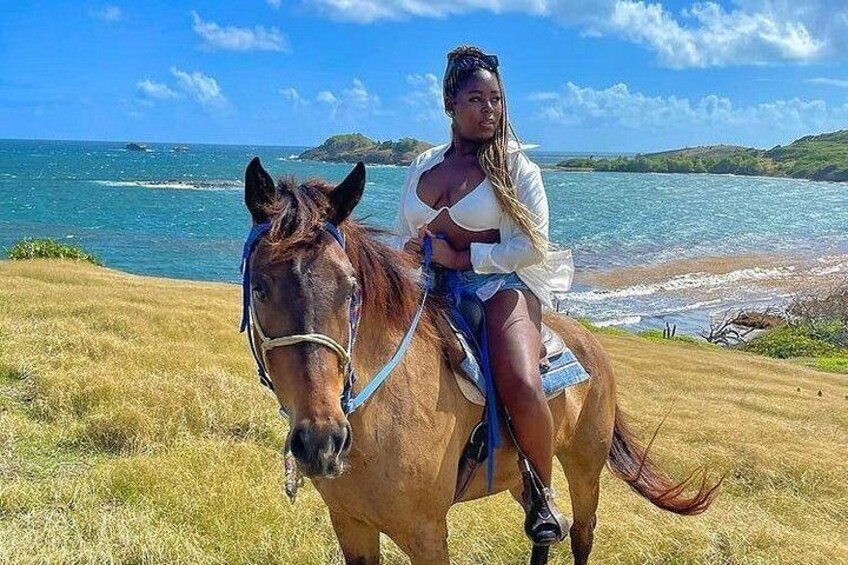 A person riding a horse on a grassy field with a beach and ocean in the background. 4