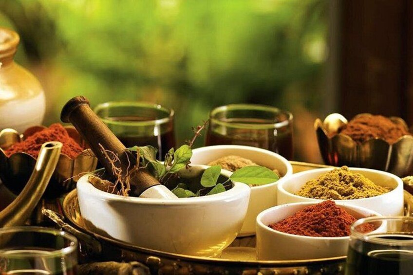 Ayurvedic Spa Massage and Herbal Garden Tour 1