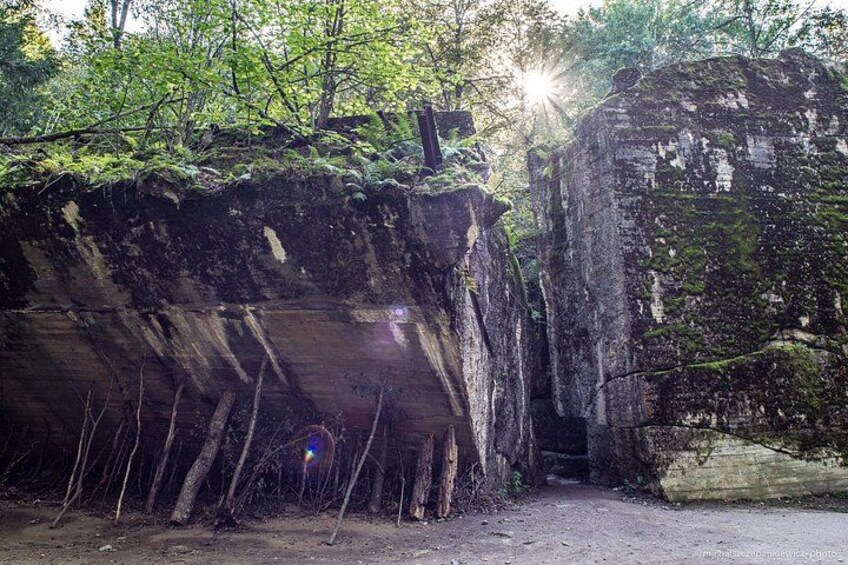 A forested area with a large rock formation and a dirt path. 5