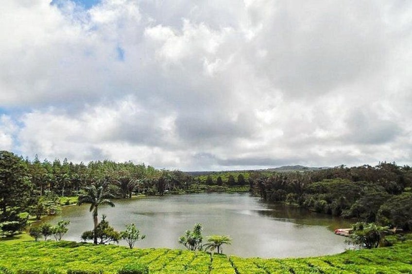 Un lago circondato da vegetazione rigogliosa e alberi. 5