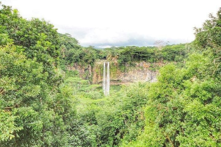 A waterfall surrounded by dense green foliage. 1