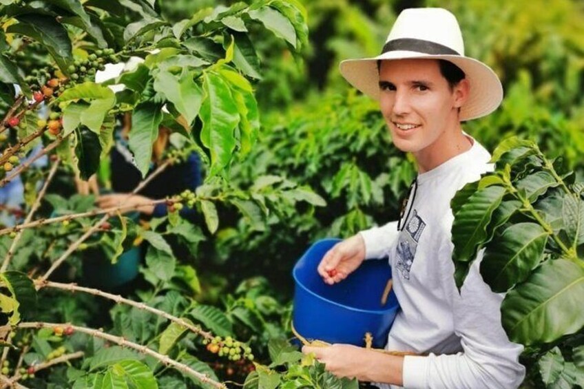 Coffee Private Tour in the beautiful Jardin town (Full-Day)