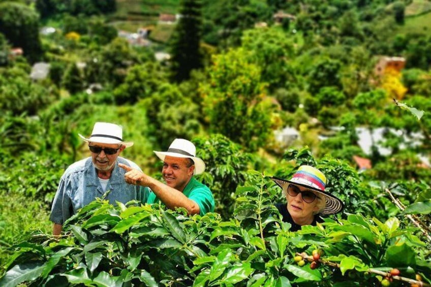 Coffee Private Tour in the beautiful Jardin town (Full-Day)