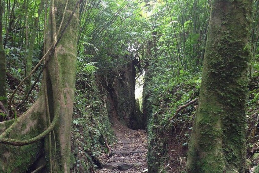 Mombacho Volcano Hike and Ziplining Adventure from San Juan del Sur 1