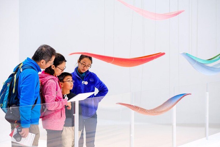 Un groupe de personnes observe une exposition composée de morceaux de tissu aux couleurs vives. 3