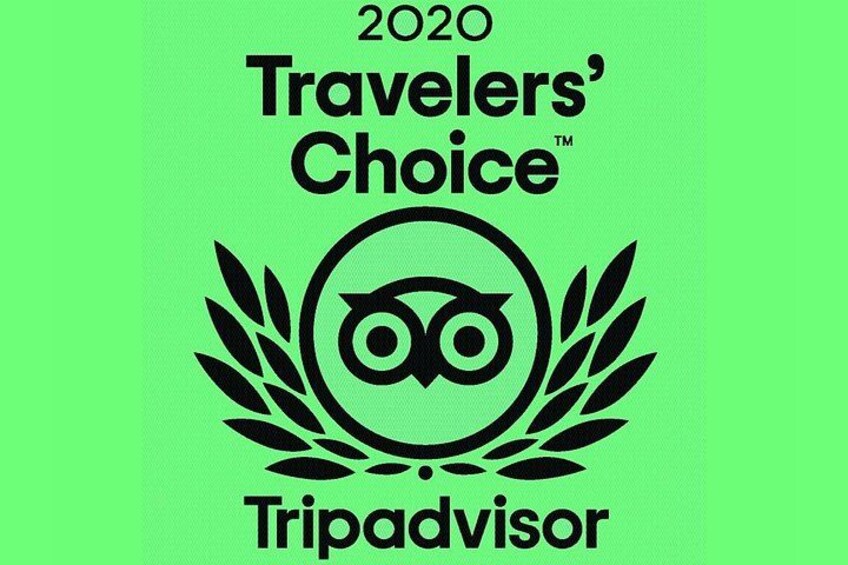 A logo with the text '2020 Travelers' Choice' and 'Tripadvisor' on a green background. 4