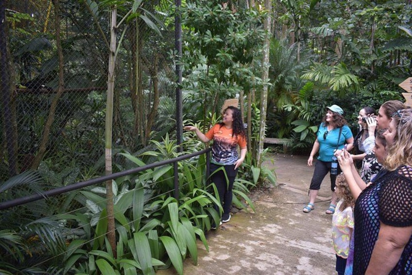 A group of people walking along a path surrounded by dense tropical vegetation. 2