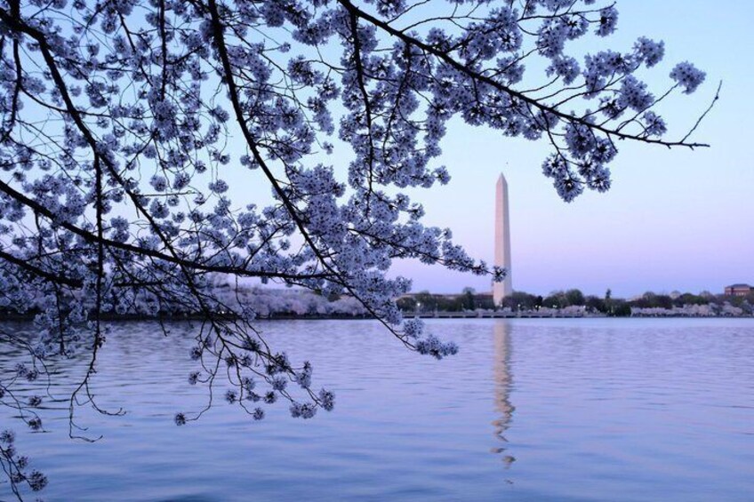A calm body of water with a prominent Washington Monument in the background, surrounded by trees. 3