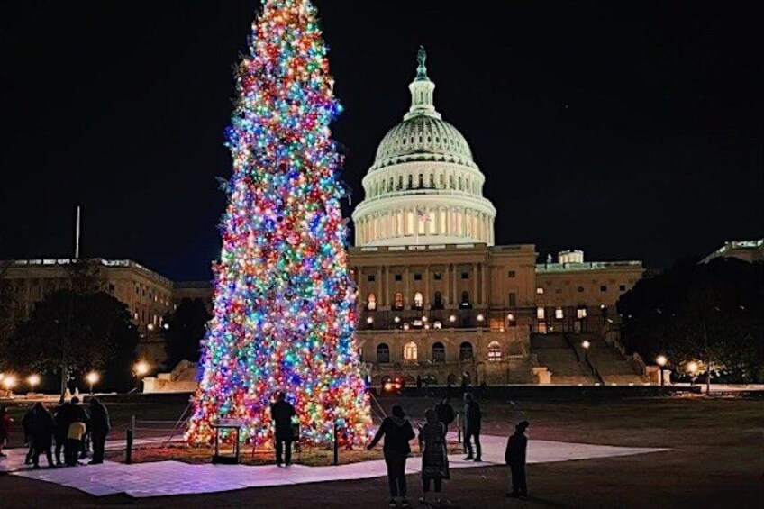A large Christmas tree in front of a building with a dome. 1