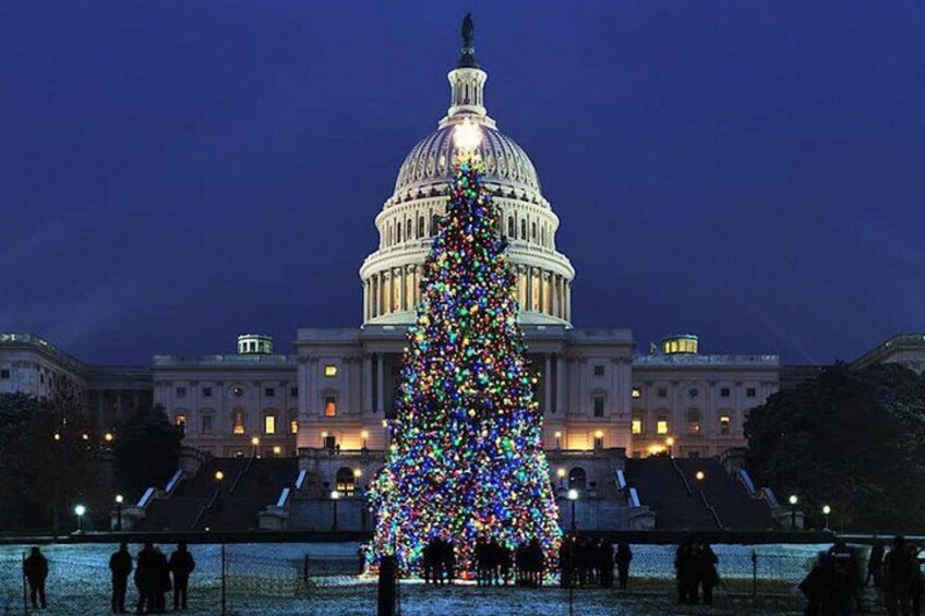 A large Christmas tree in front of a government building at night. 4