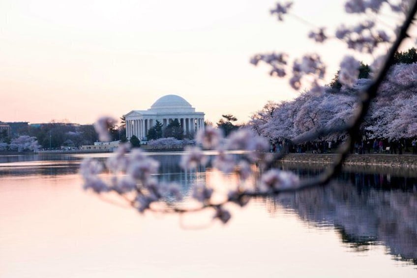 A calm lake with a building in the background and cherry blossoms in the foreground. 2