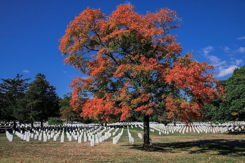 Arlington Cemetery Small-Group Tour & Changing of the Guards 5