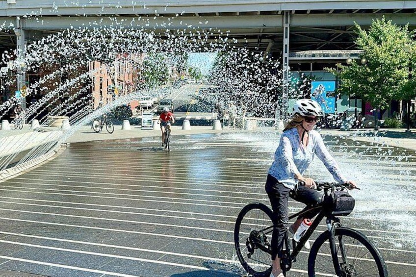 Customized Private Bike Tour of DC 4