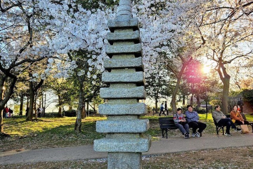 A stone structure in a park with cherry blossoms and people sitting on benches. 3